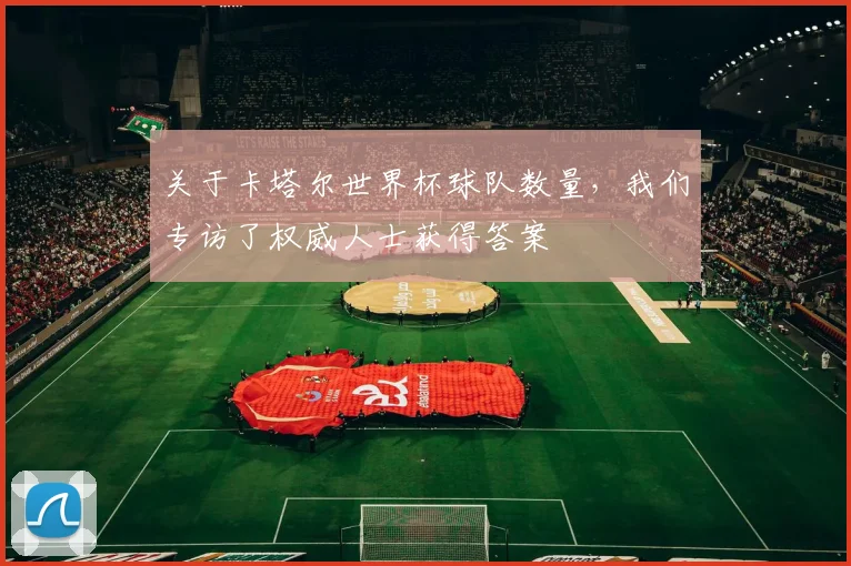 关于卡塔尔世界杯球队数量，我们专访了权威人士获得答案