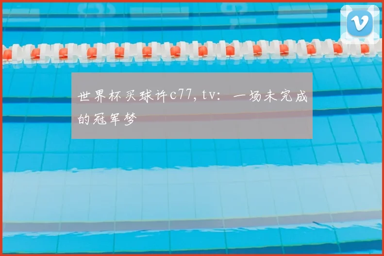 世界杯买球许c77,tv：一场未完成的冠军梦