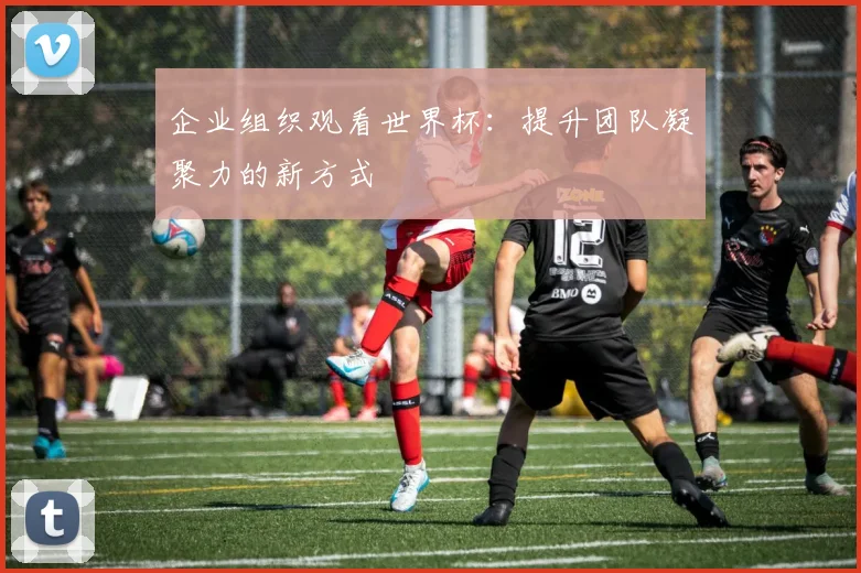 企业组织观看世界杯：提升团队凝聚力的新方式