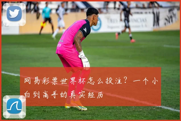 网易彩票世界杯怎么投注？一个小白到高手的真实经历